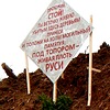 Со щитом или на щите? Одинцовцы
провели поминки по лесу