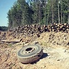 Активисты пошли лесом (фото + видео)