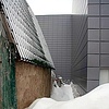 Старожилы борются с новоселами за жилье в Новоивановском