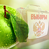 Яблочный спас для одинцовских активистов, Яблоко, Единая Россия, выборы
