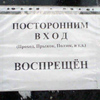 Вход в элитную школу Одинцово строго по «спецпропускам»
