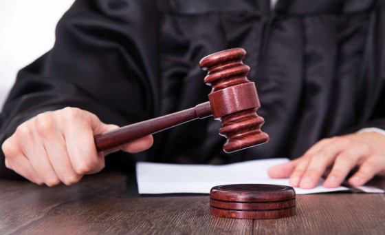 Одинцовский суд начал рассматривать дело о возвращении государству 100 гектаров земли в Барвихе