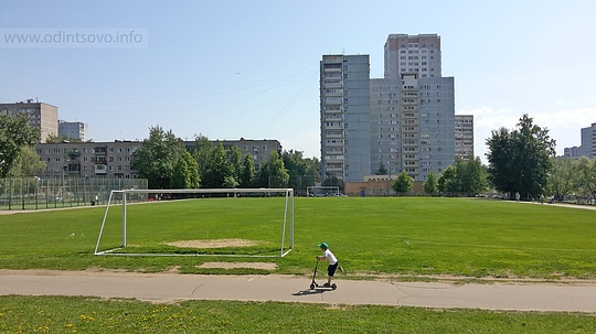 «Там, где могли бы гулять дети, — непролазные кусты или многоэтажки», Стадион в 8 микрорайоне Одинцово
