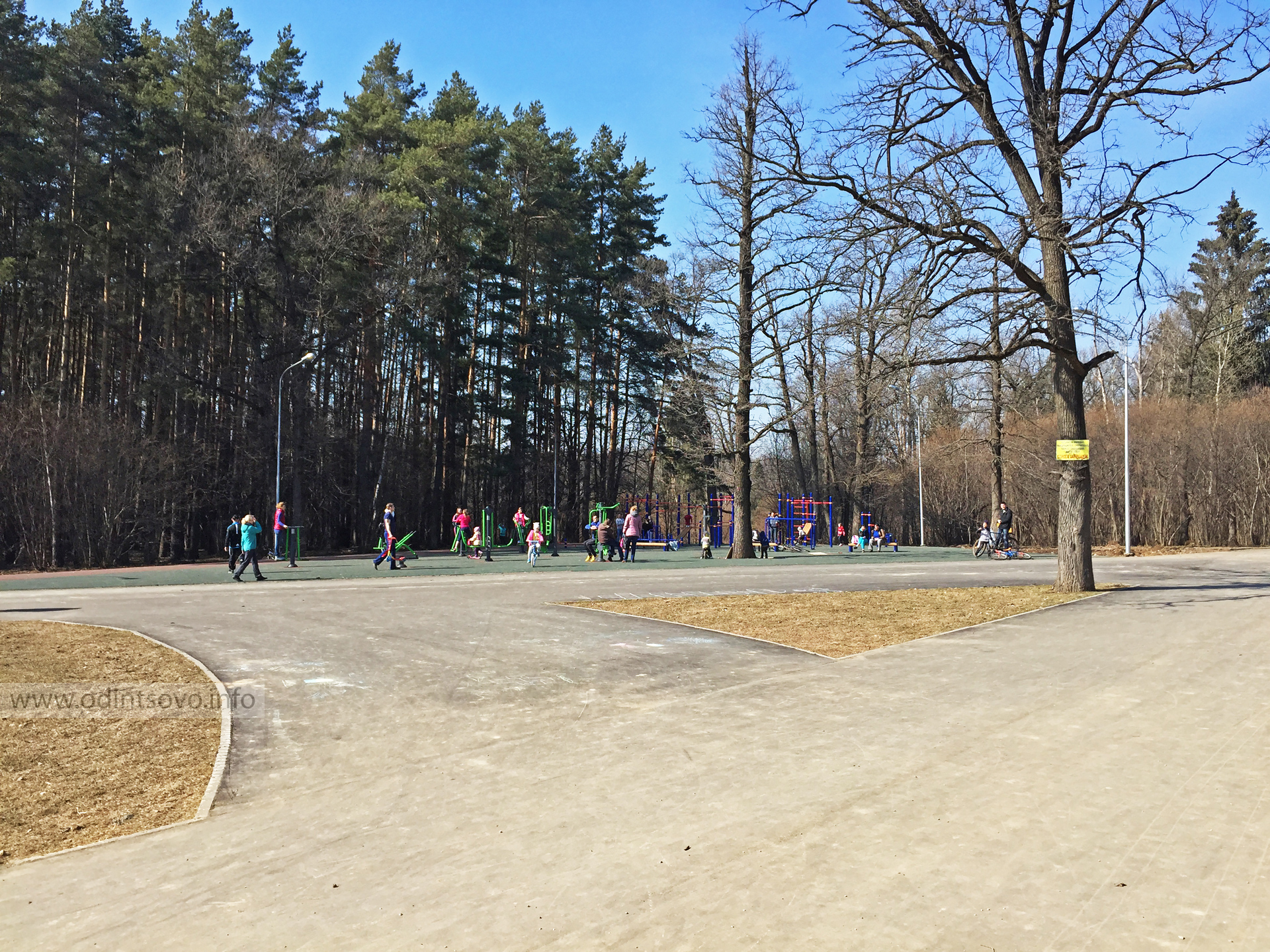 Спортивный парк отдыха ларисы лазутиной. Лыжероллерная трасса Лазутиной Одинцово. Спортивный парк отдыха имени Ларисы Лазутиной в Одинцово. Спортивный парк отдыха имени Ларисы Лазутиной лыжероллерная трасса. Озеро в парке Ларисы Лазутиной.