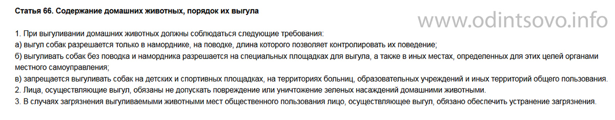 Образец заявления о нарушении выгула собак