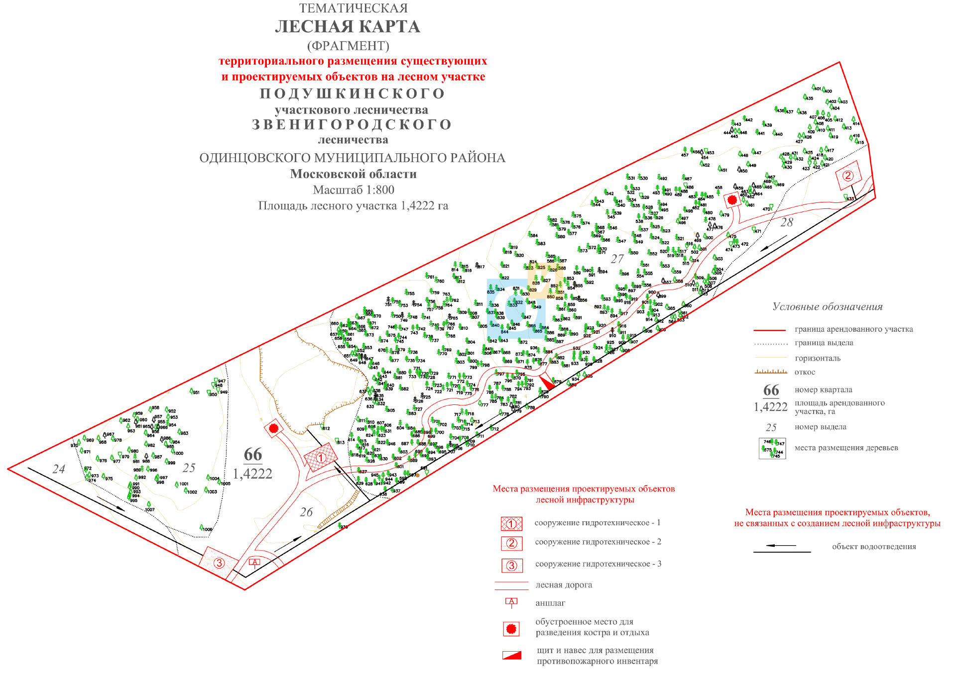 На какой срок разрабатывается проект освоения лесов