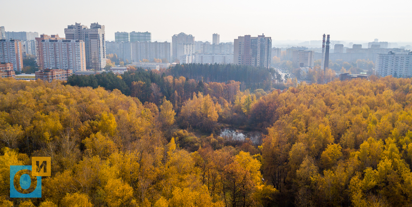 Лесное озеро Подушкинский лес