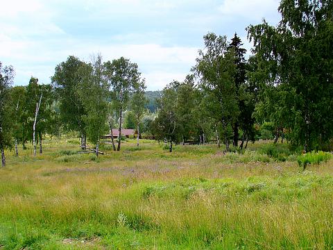 За Северной, Одинцовский городской округ, feneek