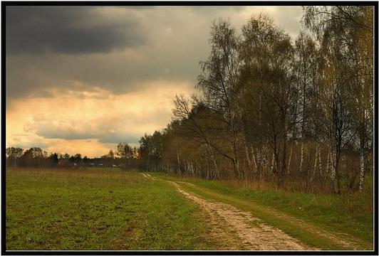 дорога, Одинцовский городской округ, пейзаж, природа, tigr