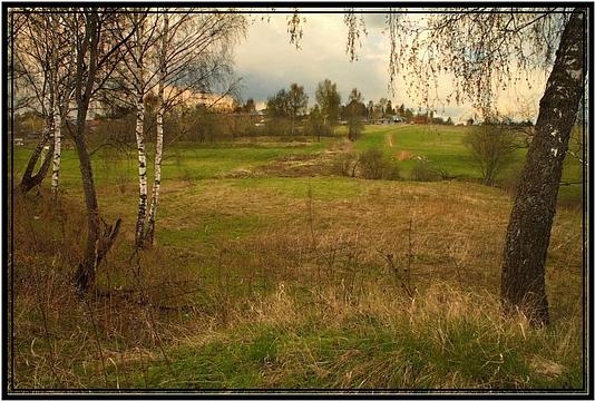 вот моя деревня, Одинцовский городской округ, пейзаж, природа, tigr