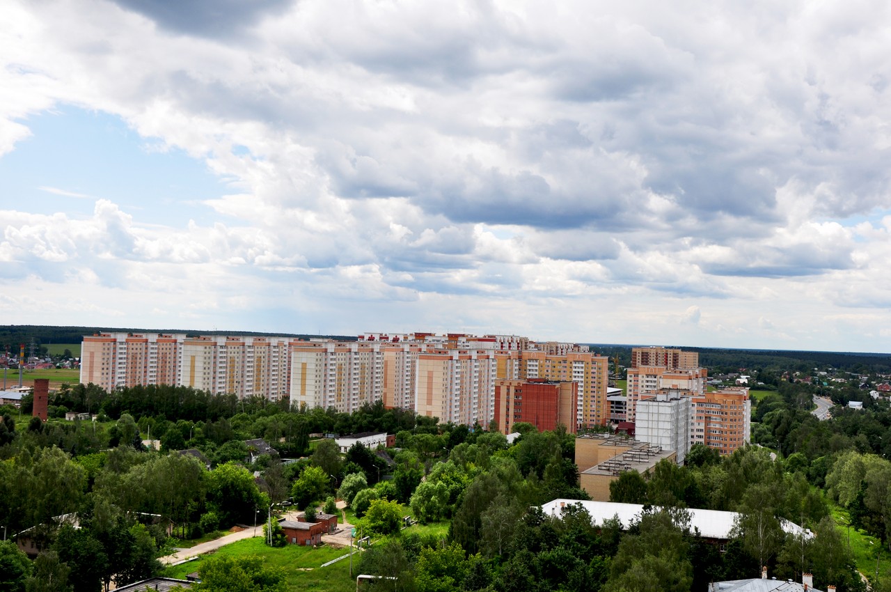 Фото дубки внииссок