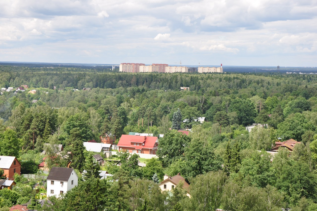 Городской поселок лесной. Поселок Лесной городок. Пос.Лесной городок Одинцовский район. Одинцово поселок Лесной городок. П.Лесной городок Одинцовский район.