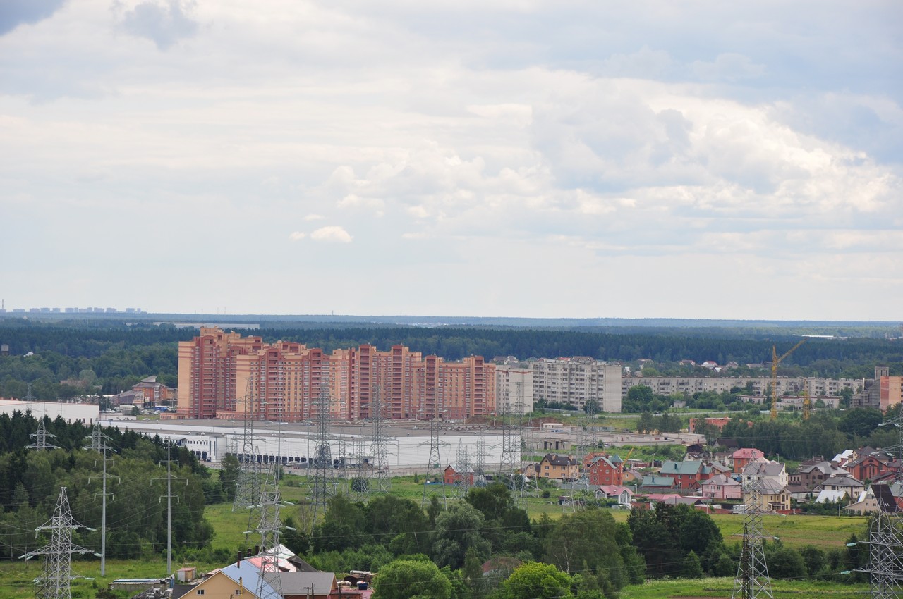 Фото дубки внииссок