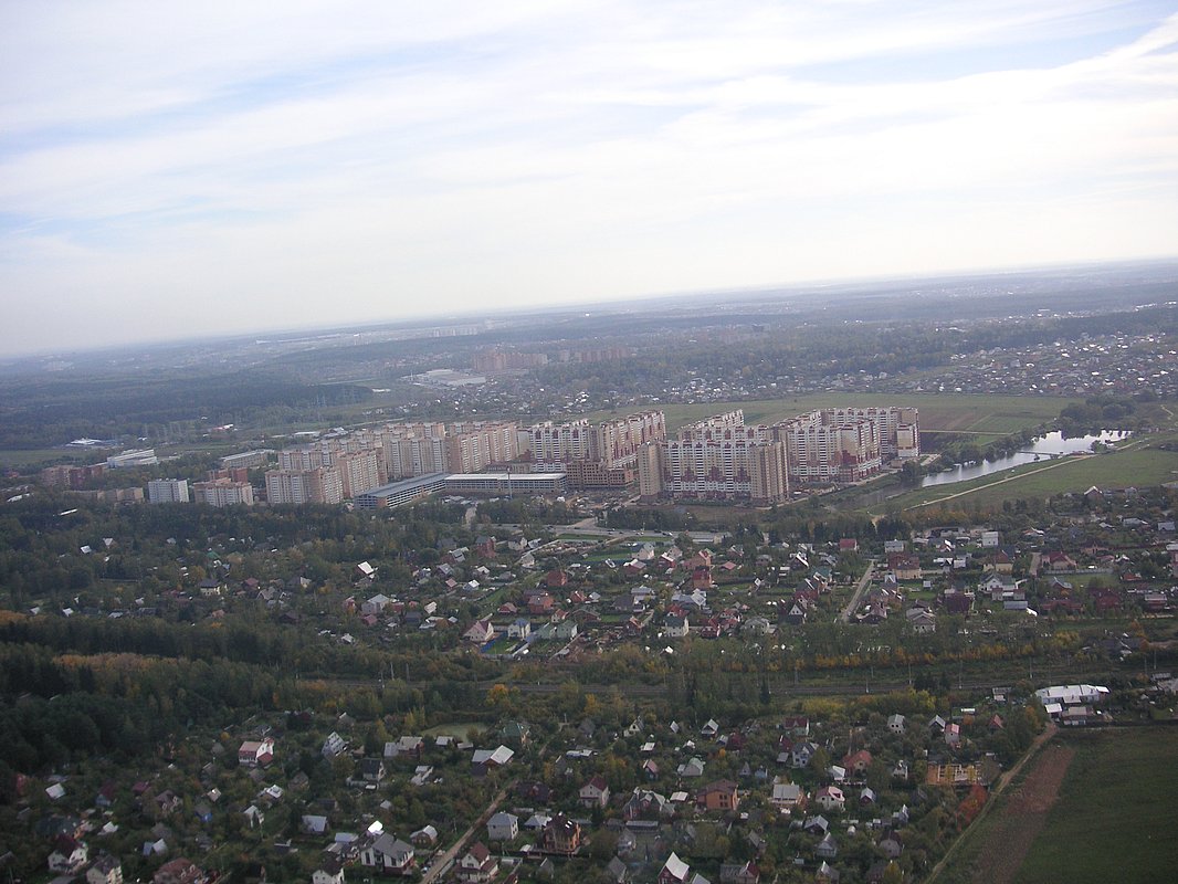 Фото дубки внииссок