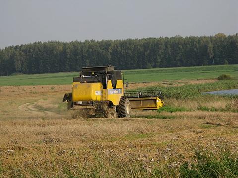 На полях одинцовского района, Одинцовский городской округ, лето, комбайн, трактор, сбор урожая, жатва, трава, пшеница, turboliator99