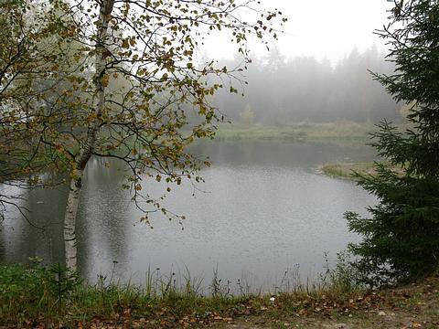 пруд в тумане, Одинцовский городской округ, turboliator99